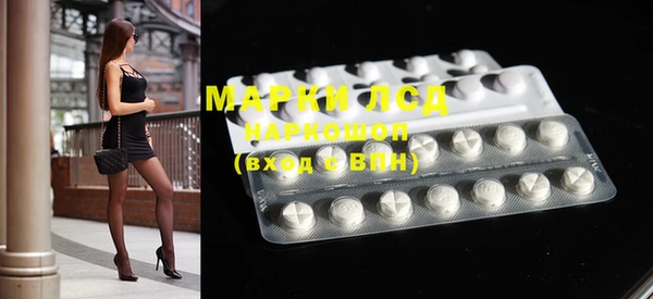 индика Магас