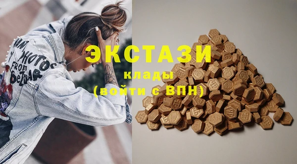 индика Магас