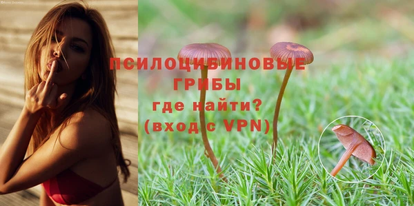 прущие крисы Магадан
