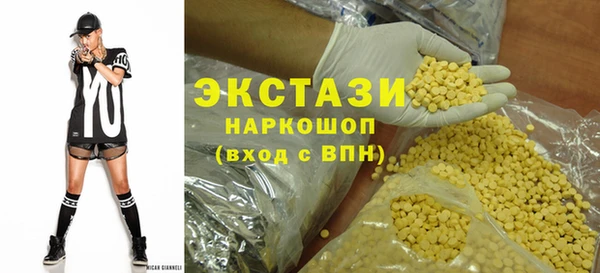 индика Магас