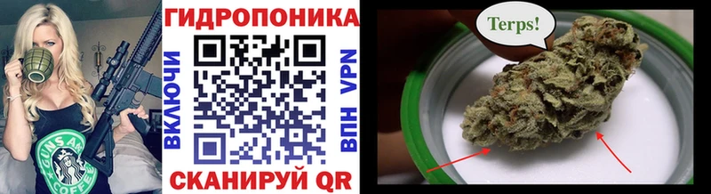 Бошки марихуана SATIVA & INDICA  Новый Уренгой 